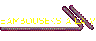 SAMBOUSEKS A LA VIANDE